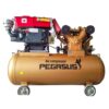 Máy Nén Khí Chạy Bằng Dầu Diesel Pegasus TM-V-1.05/12.5-330L