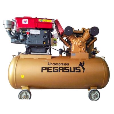 Máy Nén Khí Chạy Bằng Dầu Diesel Pegasus TM-V-1.05/12.5-330L