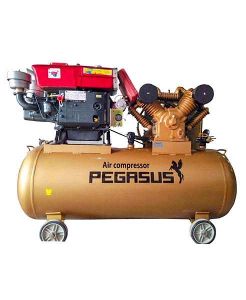 Máy Nén Khí Chạy Bằng Dầu Diesel Pegasus TM-V-1.05/12.5-330L Máy Nén Khí Chạy Bằng Dầu Diesel Pegasus TM-V-1.05/12.5-330L