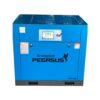Máy Nén Khí Trục Vít TMPM120A Pegasus
