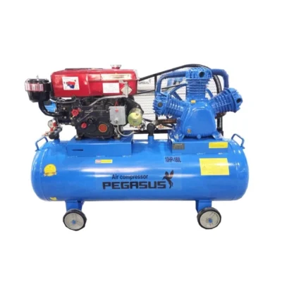 Máy Nén Khí Chạy Bằng Dầu Diesel Pegasus TM-W-1.0/8-330L