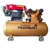 Máy Nén Khí Chạy Bằng Dầu Diesel Pegasus TM-W-1.6/8-500L