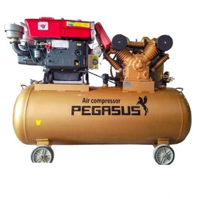 Máy Nén Khí Chạy Bằng Dầu Diesel Pegasus TM-W-1.6/8-500L