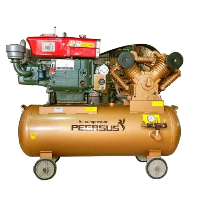 Máy Nén Khí Chạy Bằng Dầu Diesel Pegasus TM-W-2.0/12.5-330L