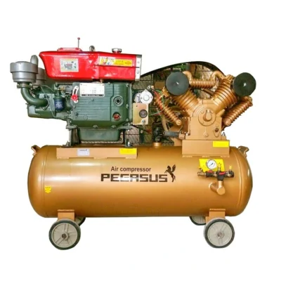Máy Nén Khí Chạy Bằng Dầu Diesel Pegasus TM-W-1.6/12.5-500L