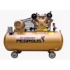Máy Nén Khí Dây Đai TM-W-1.6/8-500L 15HP Pegasus