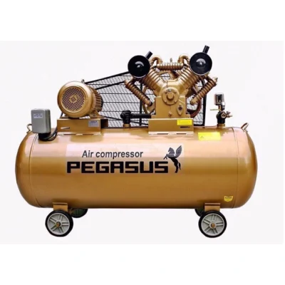Máy Nén Khí Dây Đai TM-W-1.6/8-500L 15HP Pegasus