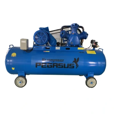 Máy nén khí dây đai TM-W-1.0/8-330L 10HP Pegasus