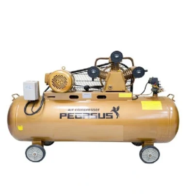 Máy Nén Khí Dây Đai TM-W-1.6/12.5-500L 15HP Pegasus