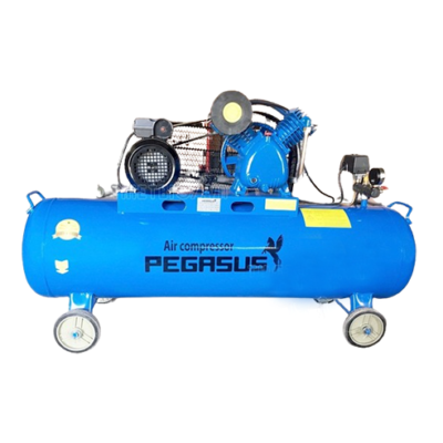 Máy Nén Khí Dây Đai TM-V-0.25/12.5-120L 3HP Pegasus