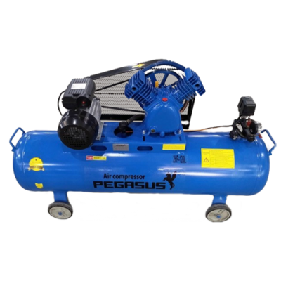 Máy Nén Khí Dây Đai TM-V-0.17/8-70L 2HP Pegasus