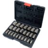 Bộ 23 mũi lấy ốc vít gãy 3-23mm Yato YT-06034 - Ba Lan