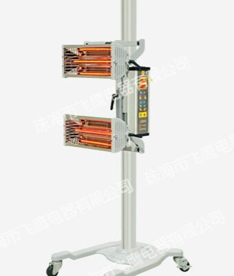 Đèn Sấy Sơn Ô Tô 2 Bóng FY-2HX