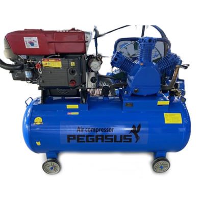 Máy Nén Khí Chạy Bằng Dầu Diesel Pegasus TM-W-2.0/12.5-500L