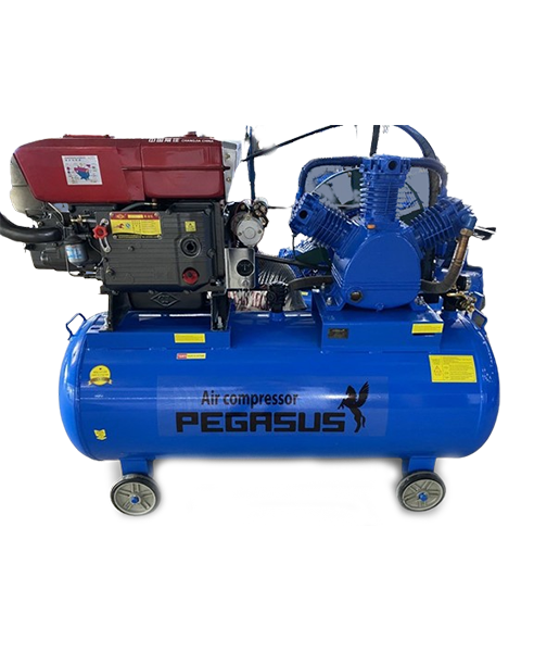 Máy Nén Khí Chạy Bằng Dầu Diesel Pegasus TM-W-1.6/12.5-500L Máy Nén Khí Chạy Bằng Dầu Diesel Pegasus TM-W-1.6/12.5-500L