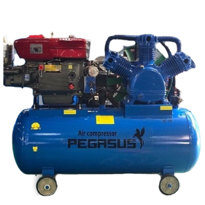 Máy Nén Khí Chạy Bằng Dầu Diesel Pegasus TM-W-1.6/8-500L