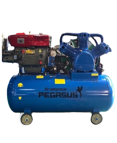 Máy Nén Khí Chạy Bằng Dầu Diesel Pegasus TM-W-1.6/8-500L Máy Nén Khí Chạy Bằng Dầu Diesel Pegasus TM-W-1.6/8-500L