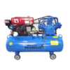 Máy Nén Khí Chạy Bằng Dầu Diesel Pegasus TM-W-1.0/8-330L