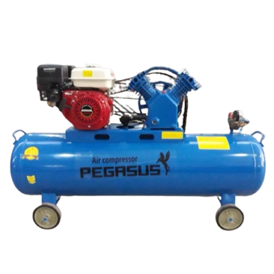 Máy Nén Khí Đầu Nổ Chạy Bằng Xăng TM-V-0.25/8-100L Pegasus