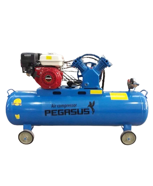 Máy Nén Khí Đầu Nổ Chạy Bằng Xăng TM-V-0.25/8-100L Pegasus Máy Nén Khí Đầu Nổ Chạy Bằng Xăng TM-V-0.25/8-100L Pegasus