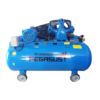 Máy Nén Khí Dây Đai TM-W-0.9/8-500L 10HP Pegasus