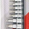 Bộ mũi vít hoa thị có lỗ T8-T55 12 chi tiết 1/4"-3/8" Yato YT-04332 - Ba Lan