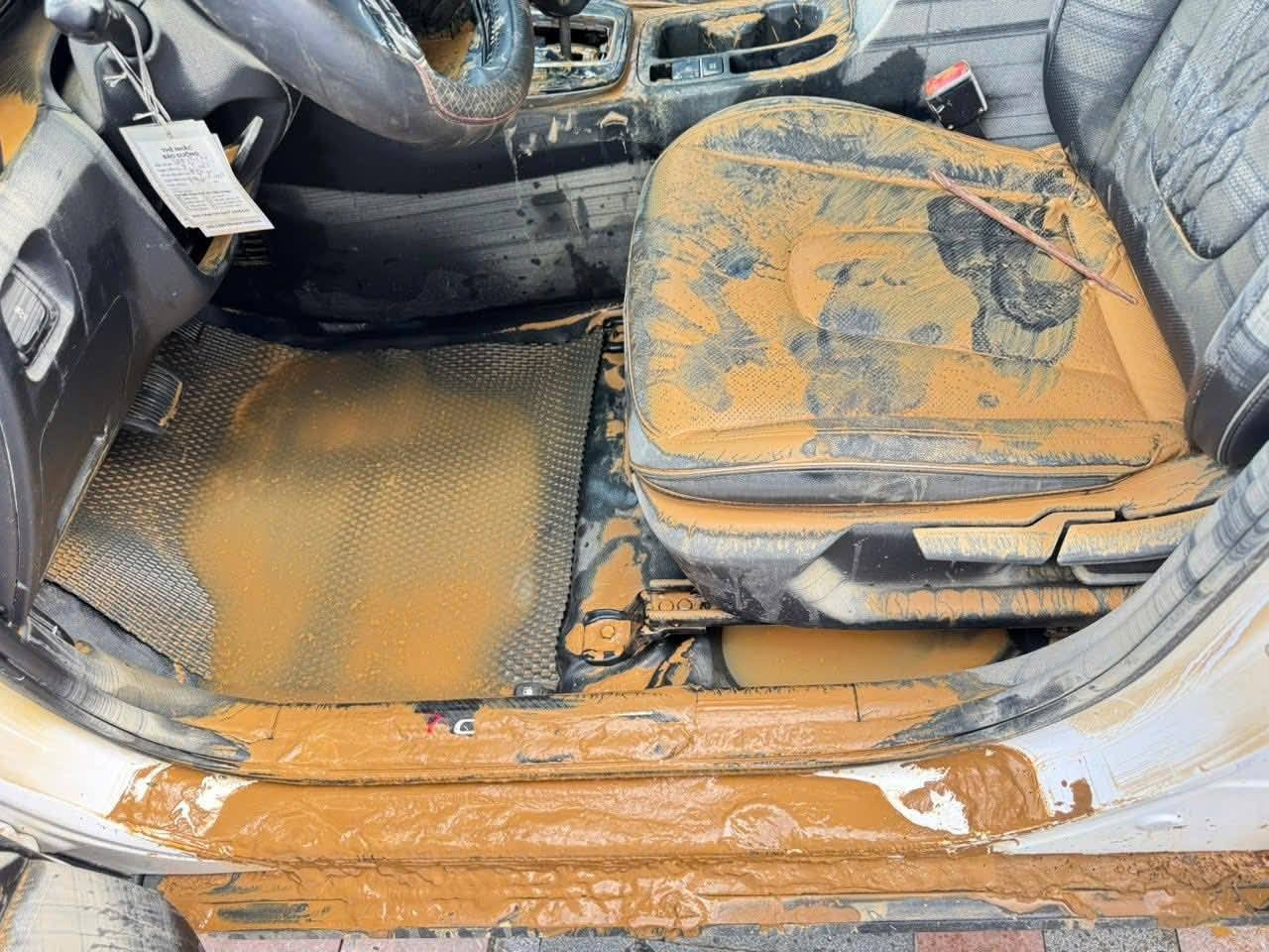 Chống Nấm Mốc Tuyệt Đối: Mẹo Dùng Baking Soda, Than Hoạt Tính Để Khử Ẩm Và Mùi Hôi.