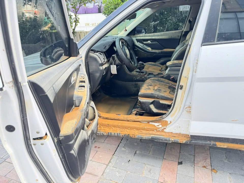 Khử Mùi Ẩm Mốc "Chua Lòm": Hướng Dẫn Sử Dụng Máy Ozon và Dung Dịch Diệt Khuẩn Chuyên Sâu